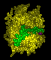 kinase.gif (22245 bytes)